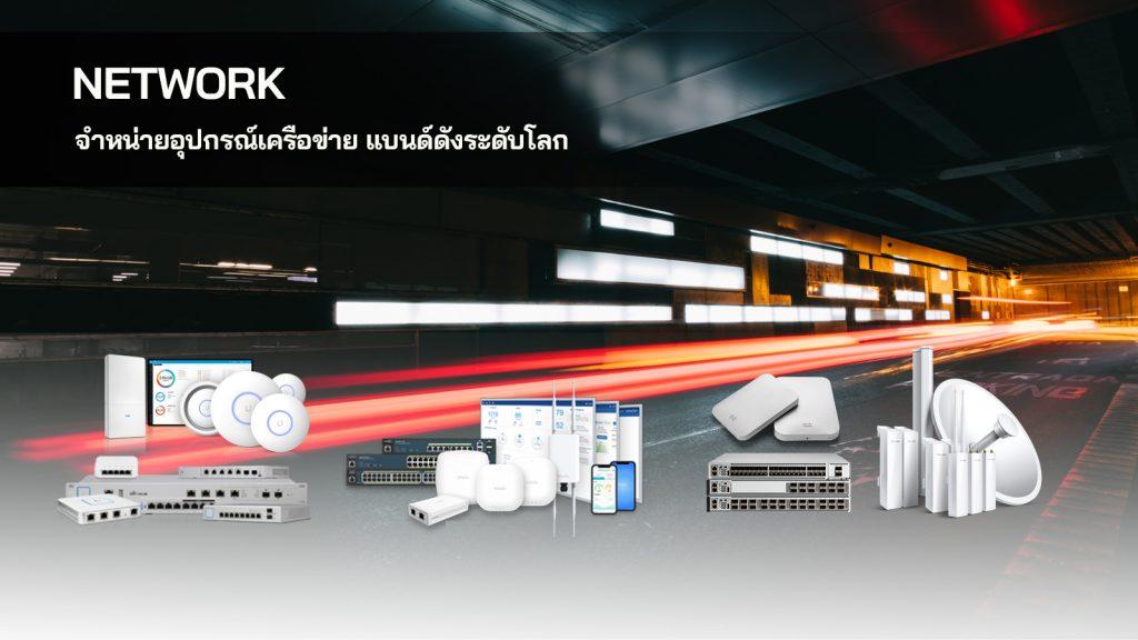 network พัทยา ชลบุรี