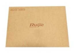 RG-LIC-WS-16