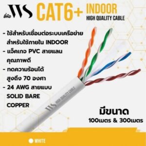 WS-Lan-Cat6.jpg WS Cat6 100M