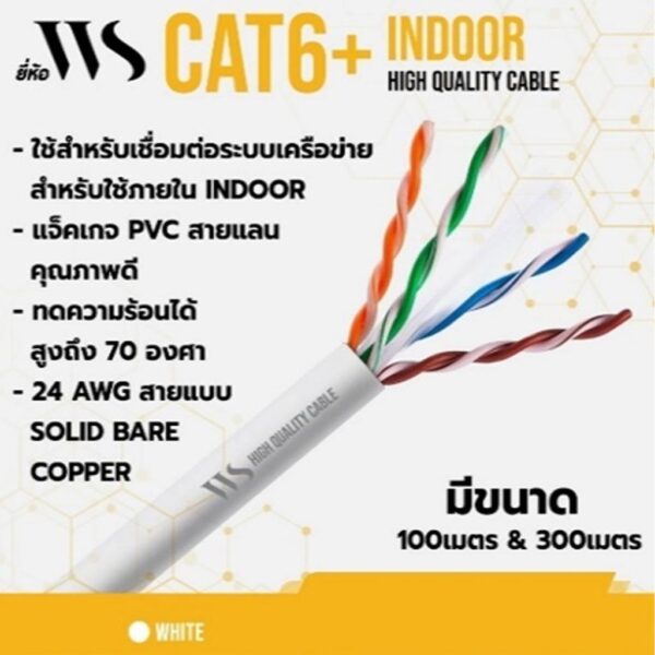 WS Cat6 100M