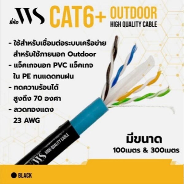WS Cat6 Outdoor 300M