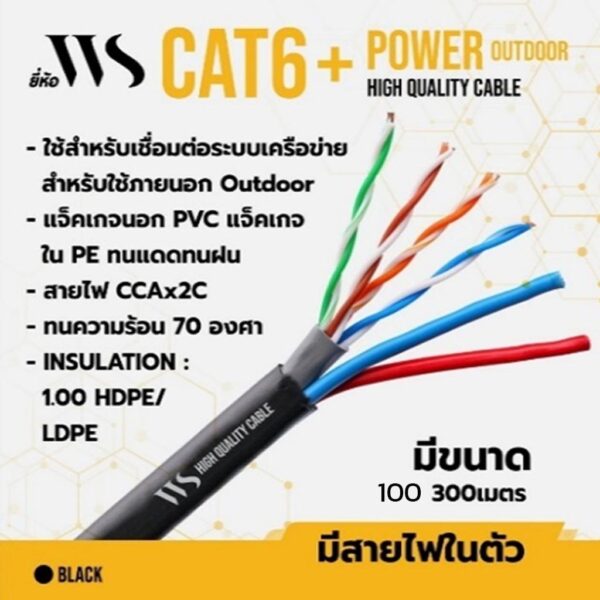 WS Cat6 Outdoor + Power 300M