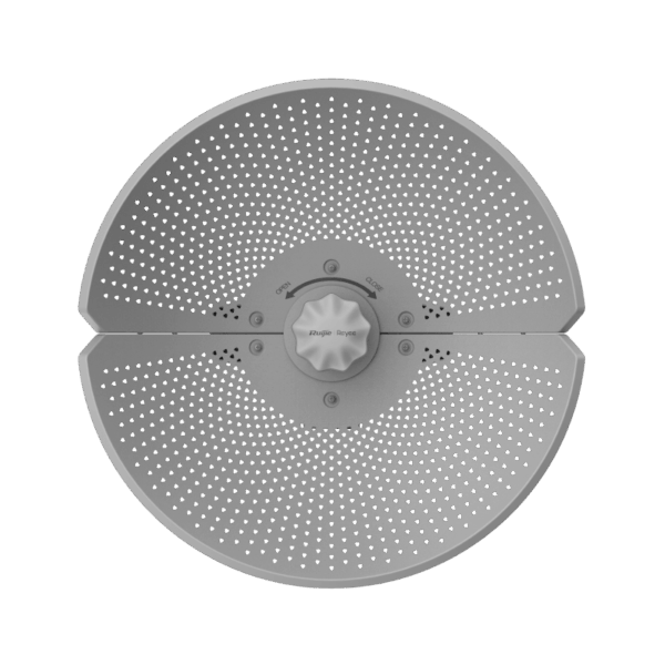 a1ea1e943ad141a38eb8a8f4672dfbf5.png RG-AirMetro460G